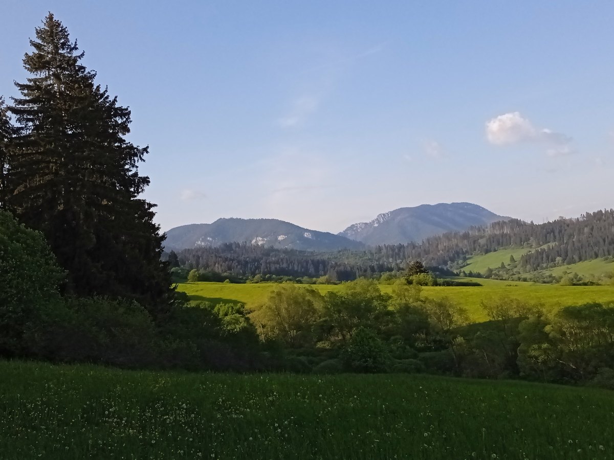 view of nature